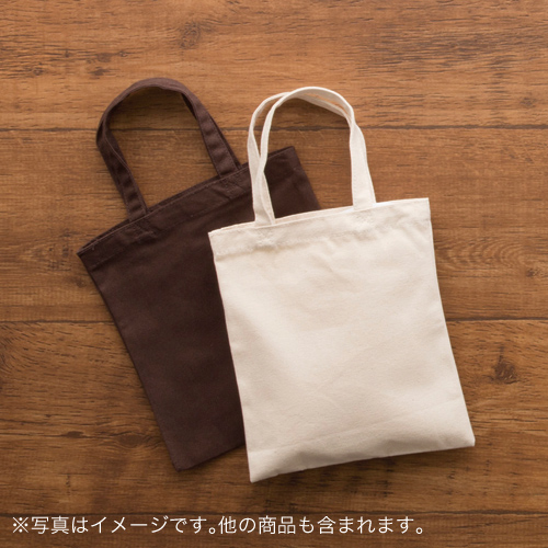 ライトキャンバスバッグ(S)　ナチュラル【エコマーク付】TR-0336-008
