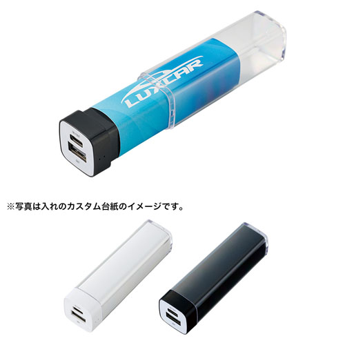 カスタムデザインチャージャー2200 Type-C対応 TE-0017